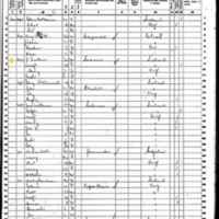 John and Margaret Fallon; 1860 Census
