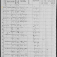 William Fitzgerald; 1870 Census