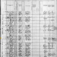 Denis Sullivan; 1880 Census