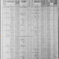 John Sullivan; 1870 Census