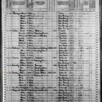 John Ganly; 1870 Census