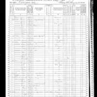 John Lynch; 1870 Census