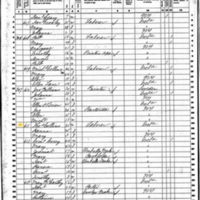 Thomas Collins; 1860 Census