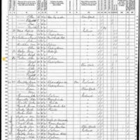 John and Margaret Fallon; 1870 Census