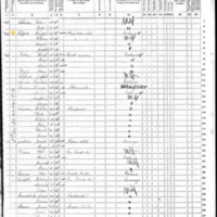 Bridget Clifford; 1870 Census