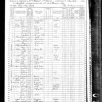 Johanna Wall; 1870 Census