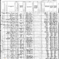 James Coghlan; 1880 Census