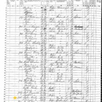 Bridget Cooley; 1855 Census