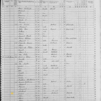 Denis Sullivan; 1855 Census