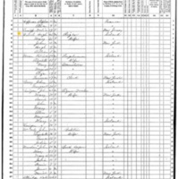 Hugh O'Toole; 1870 Census