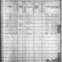 Margaret Fivey; 1880 Census