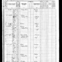 Thomas Enright; 1870 Census