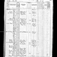 Thomas B. Brady; 1870 Census