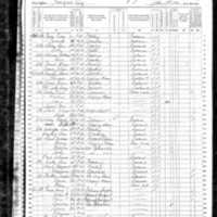 Ann Roche; 1870 Census