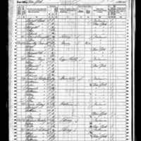 Ann and Timothy Driscoll; 1860 Census