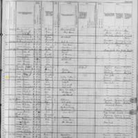 Patrick F. Lacy; 1880 Census