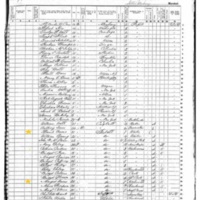 Daniel Owens; 1855 Census