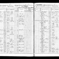 Edward and Bridget Reynolds; 1855 Census