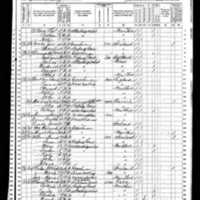 Maria and Patrick Phelan; 1870 Census