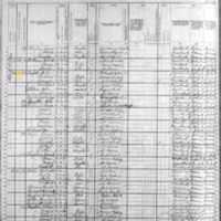 John Touhill; 1880 Census