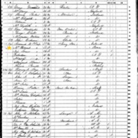 Jeremiah K. O'Keeffe; 1850 Census