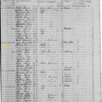 Mary Ann Corrigan; 1855 Census