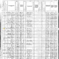 Patrick J. Costello; 1880 Census