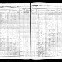 Ann Roche; 1855 Census