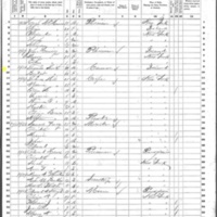Thomas and Bridget Smith; 1860 Census