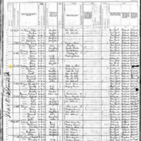 John and Margaret Fallon; 1880 Census