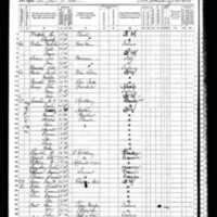 Nicholas Nolan; 1870 Census
