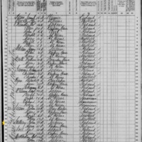 John Gallery; 1870 Census