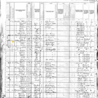 Thomas Cody, Surviving Family Members; 1880 Census