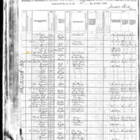 Ann McCabe; 1880 Census
