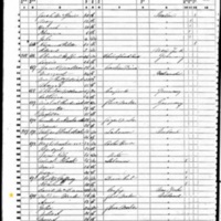 Ann Winter; 1850 Census