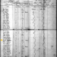 Maurice Spillane on Ship Manifest