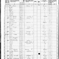 Jane Brannick; 1860 Census