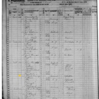 Edward Cooney; 1875 Census