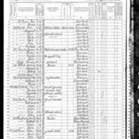 Elizabeth and Patrick McArdle; 1870 Census (Patrick Not Present)
