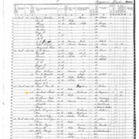 Michael and Ann Short; 1855 Census