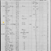 Joseph O'Neil; 1850 Census