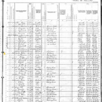 Catherine Carlan; 1880 Census