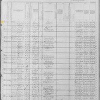 Thomas E. Foran; 1880 Census (2)