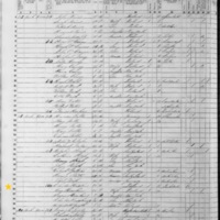 Mary Harkin; 1855 Census