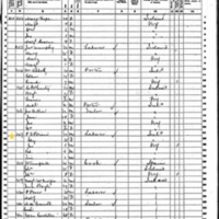 Elizabeth and Patrick O'Brien; 1860 Census