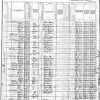 Michael Daly; 1880 Census