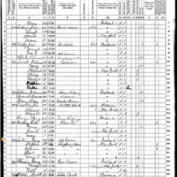 Mary Ann Sullivan; 1870 Census