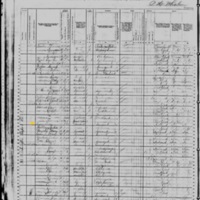 Rose Bray; 1880 Census
