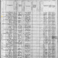 David O'Keefe; 1880 Census