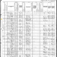 Richard and Catherine Swanton; 1880 Census